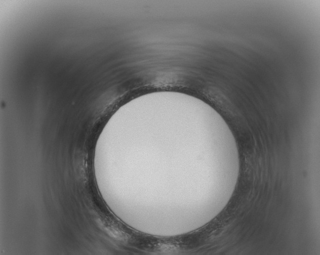 X0000068300592200604281711