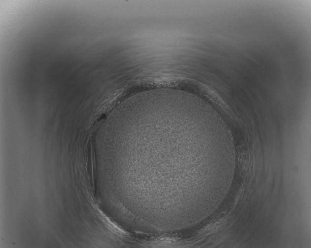 X0000068300593200604281711