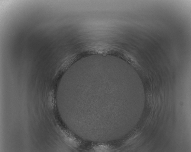 X0000068300594200604281711