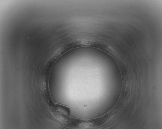 X0000068300595200604281711