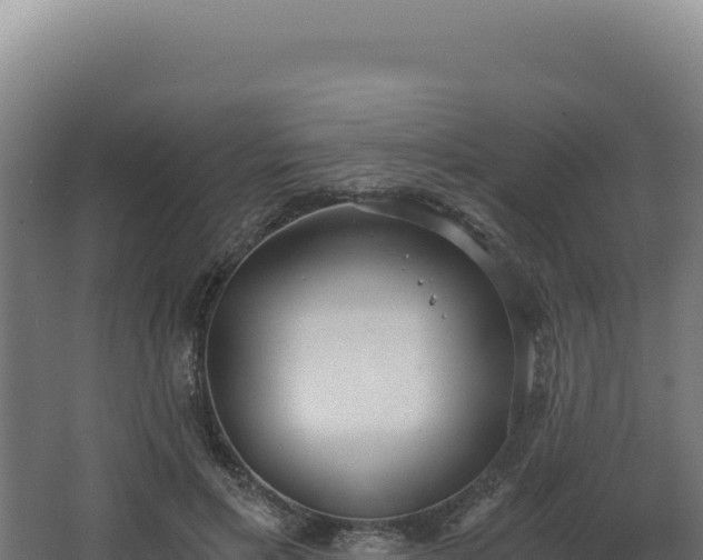 X0000068300597200604281711