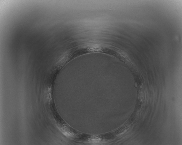 X0000068300598200604281711