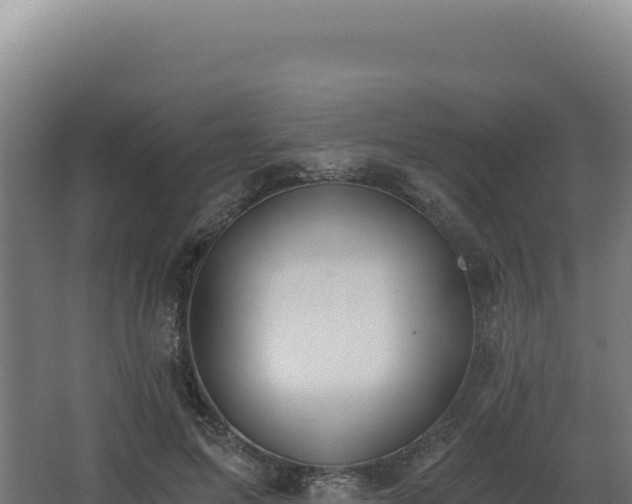 X0000068300599200604281711