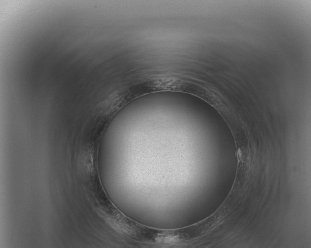 X0000068300602200604281711