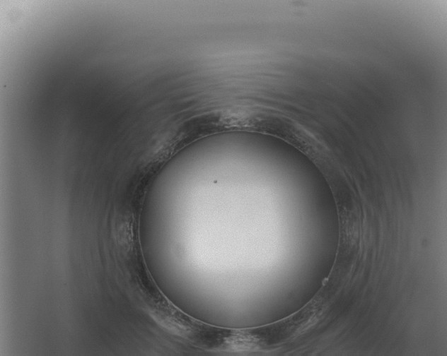 X0000068300603200604281711