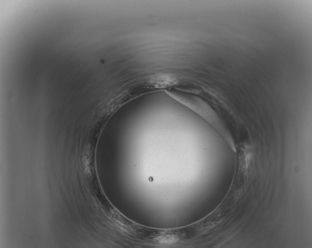 X0000068300604200604281711