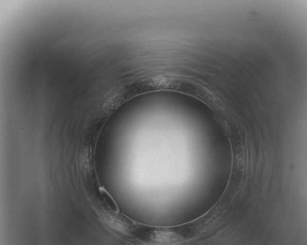 X0000068300605200604281711