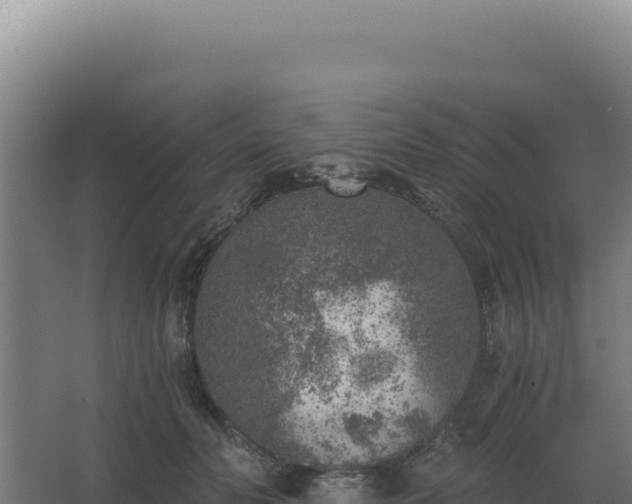 X0000068300606200604281711