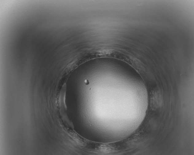 X0000068300608200604281711