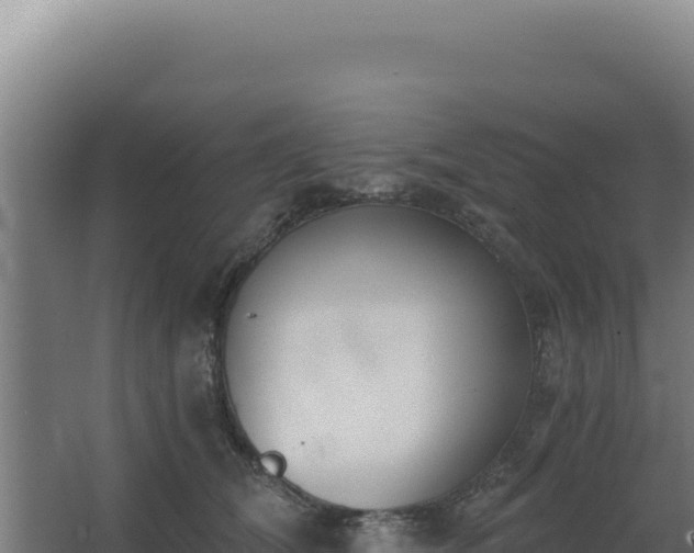 X0000068300612200604281711