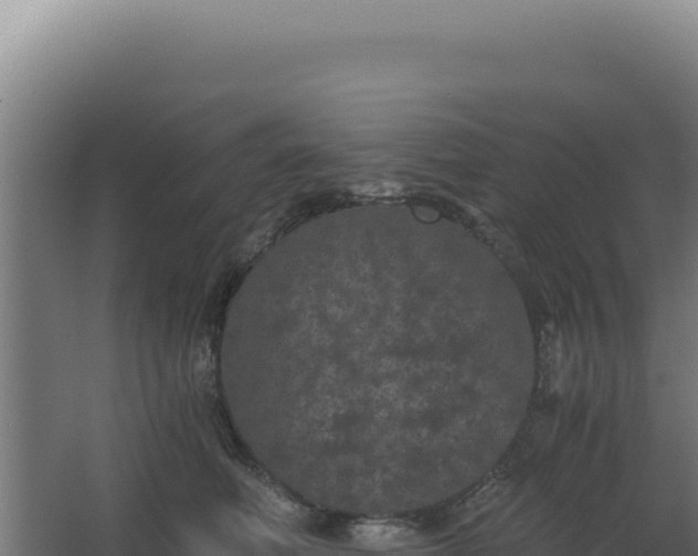 X0000068300614200604281711