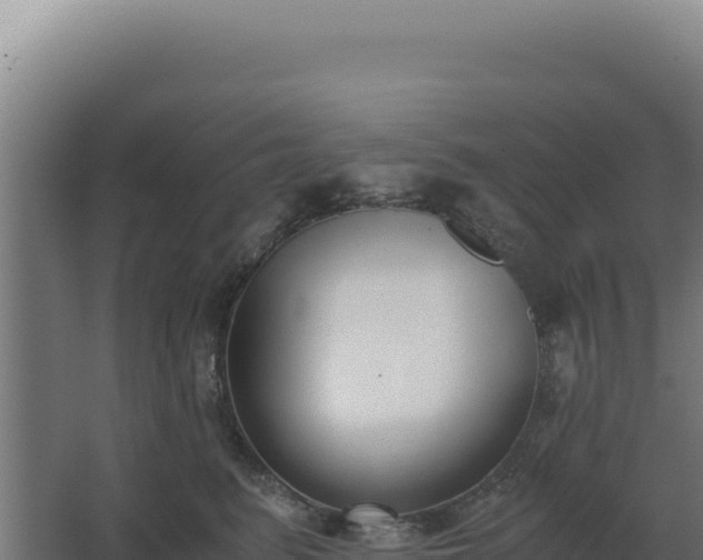 X0000068300615200604281711