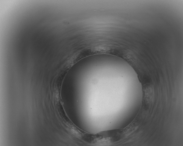 X0000068300617200604281711