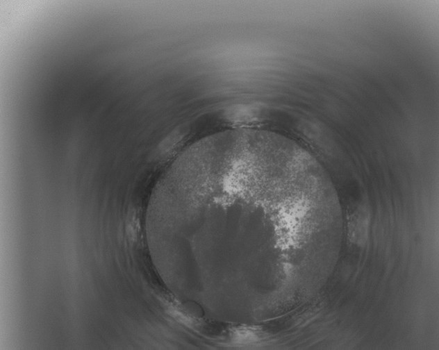 X0000068300618200604281711