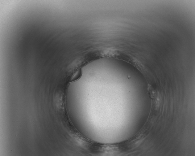 X0000068300619200604281711