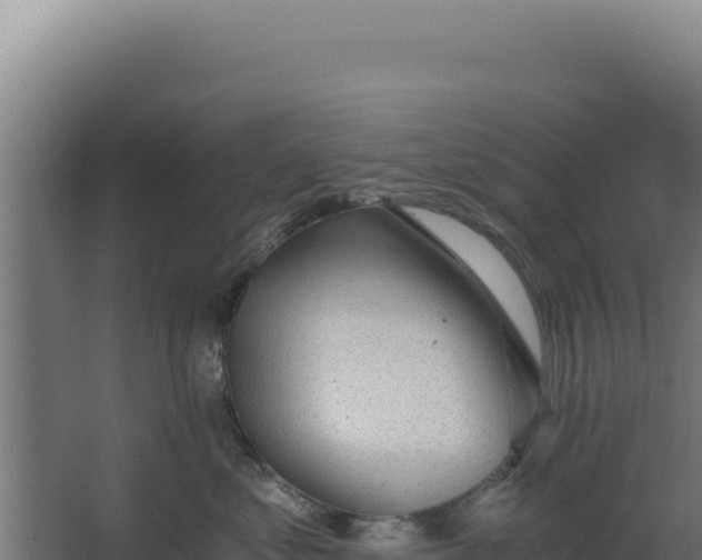 X0000068300621200604281711