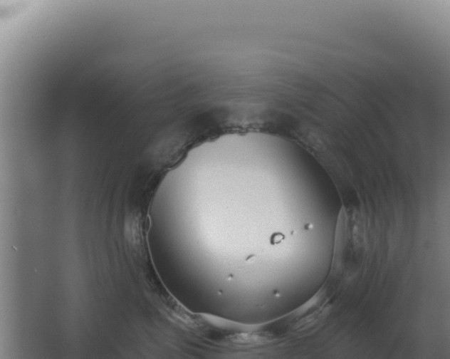 X0000068300623200604281711