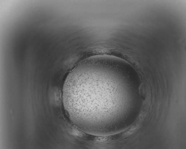 X0000068300624200604281711