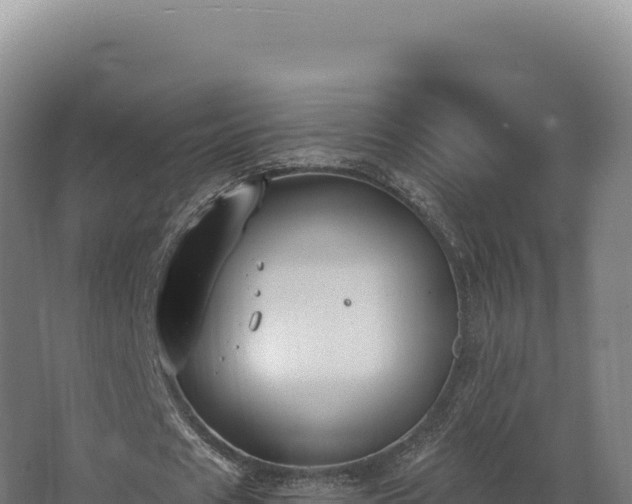 X0000068300625200604281710