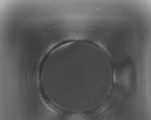 X0000068300627200604281710