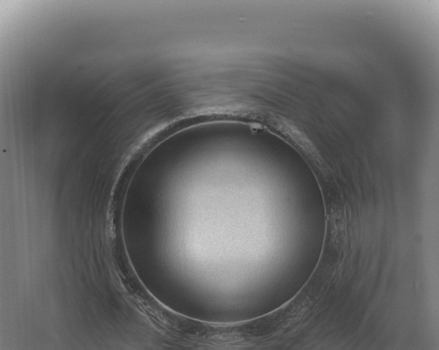 X0000068300628200604281710