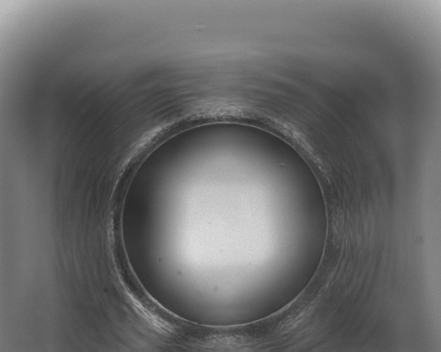 X0000068300629200604281710