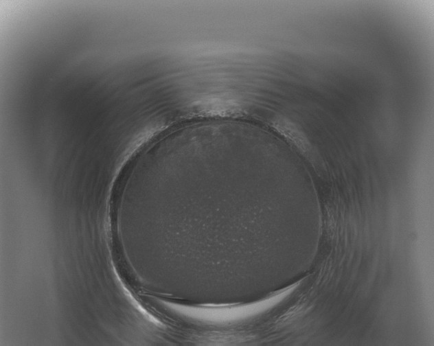 X0000068300630200604281710