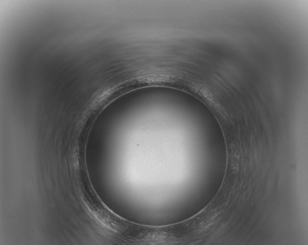 X0000068300631200604281710