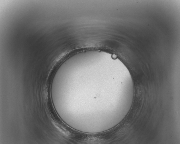 X0000068300632200604281710