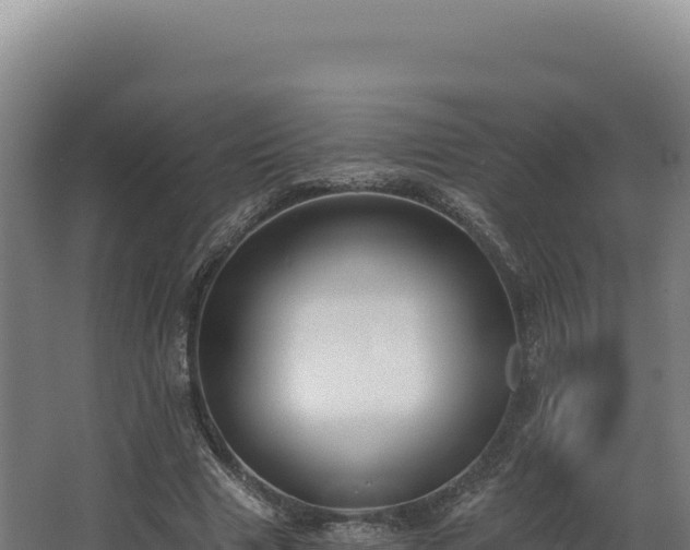 X0000068300633200604281710