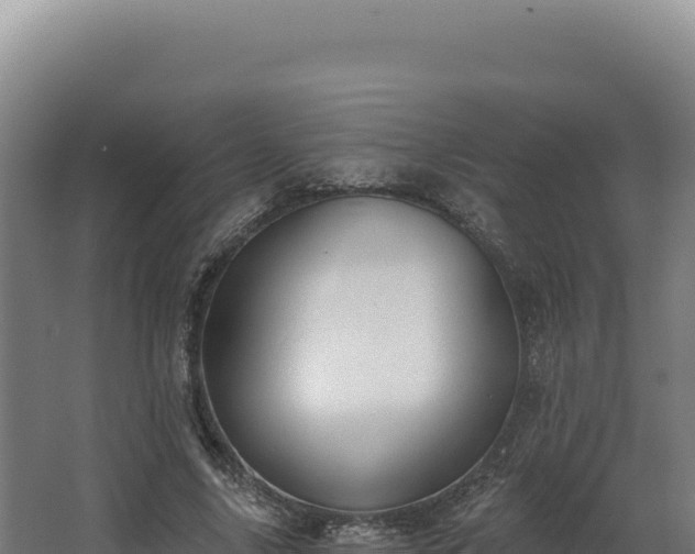 X0000068300635200604281710