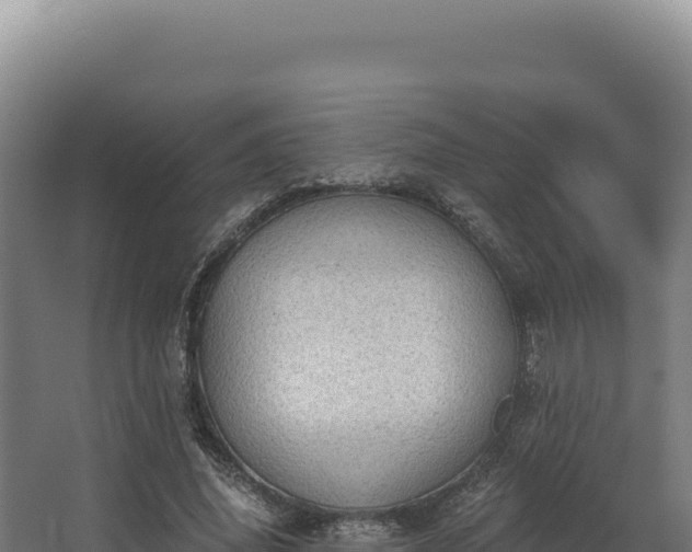 X0000068300636200604281710