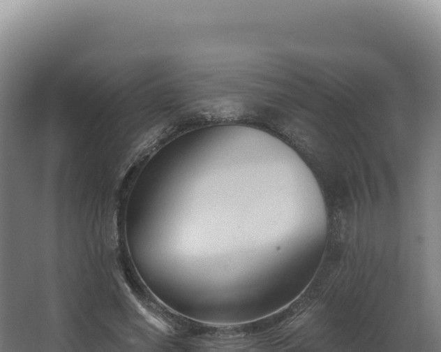 X0000068300638200604281710