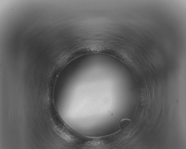 X0000068300639200604281710