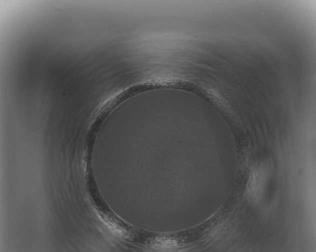 X0000068300640200604281710