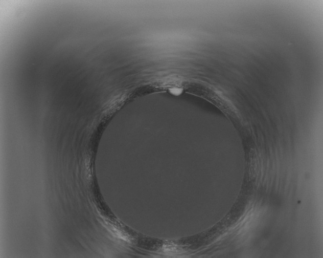 X0000068300641200604281710