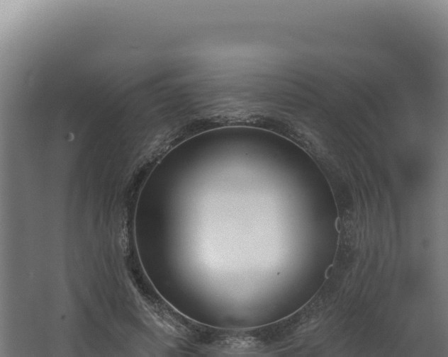 X0000068300642200604281710