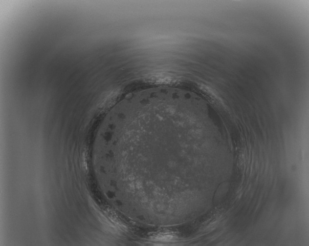 X0000068300643200604281710