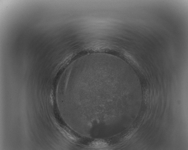 X0000068300644200604281710