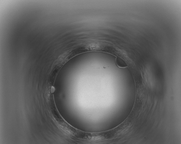 X0000068300645200604281710