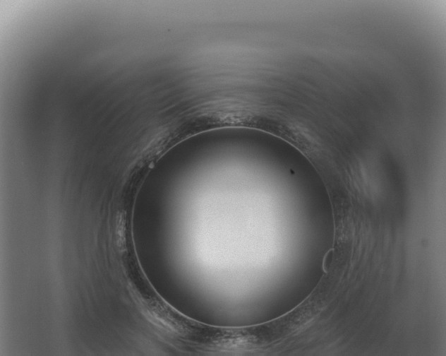 X0000068300646200604281710