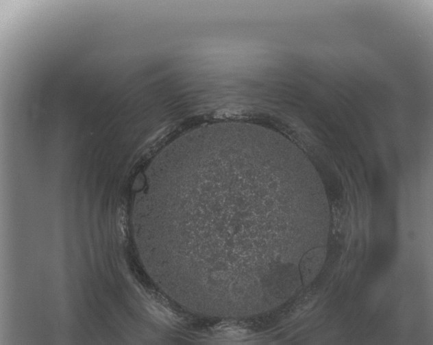 X0000068300648200604281710