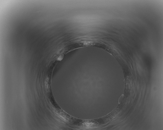 X0000068300650200604281710