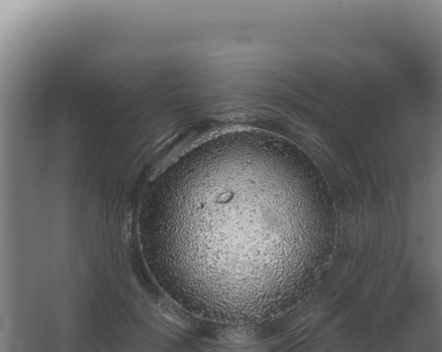 X0000068300652200604281711