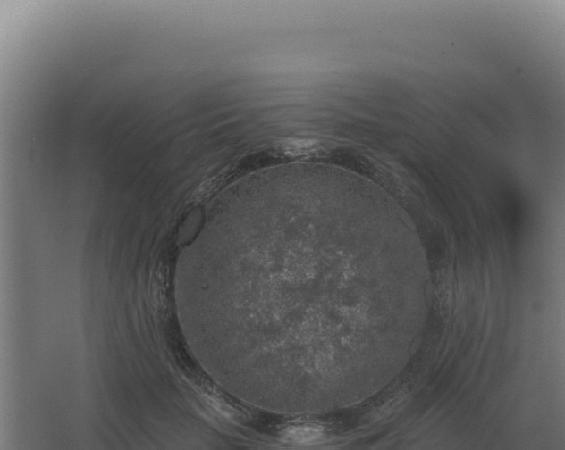 X0000068300653200604281711