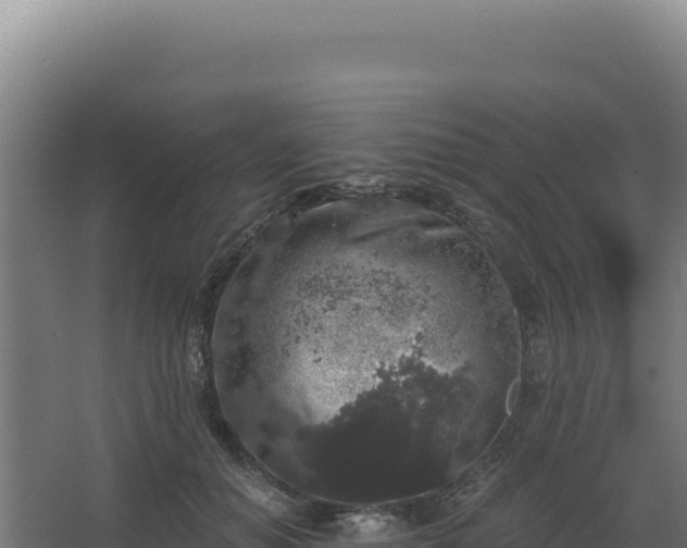 X0000068300654200604281711