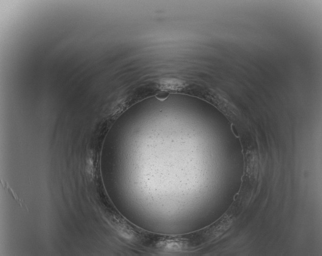 X0000068300655200604281711