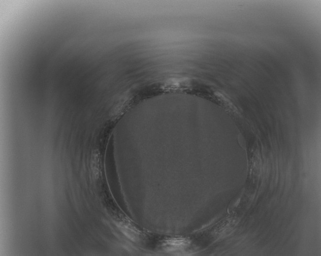 X0000068300659200604281711