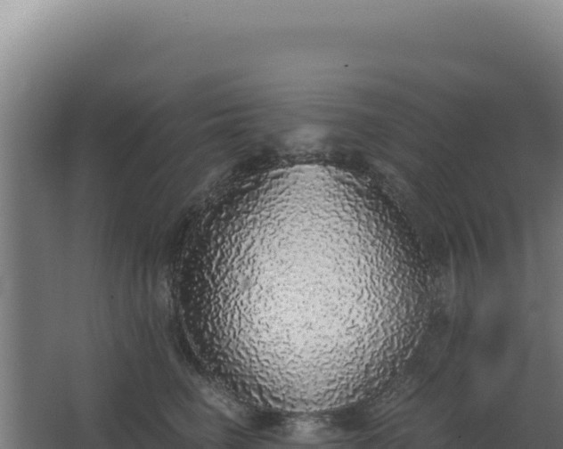 X0000068300662200604281711