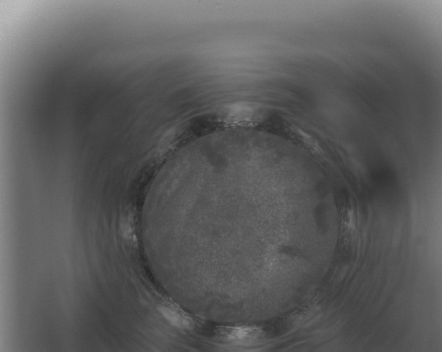 X0000068300663200604281711